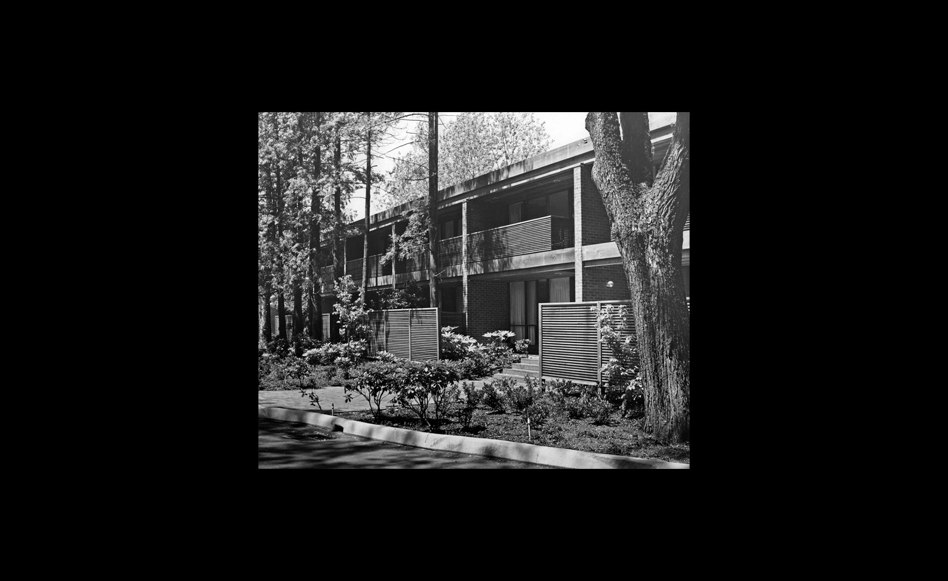 web-ShannonBW